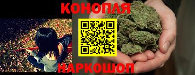 МДПВ Краснодар