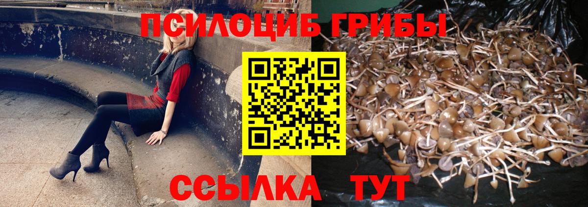 Псилоцибиновые грибы мухоморы  Вход с VPN  Кстово  что такое наркотик  Галлюциногенные грибы ЛСД 